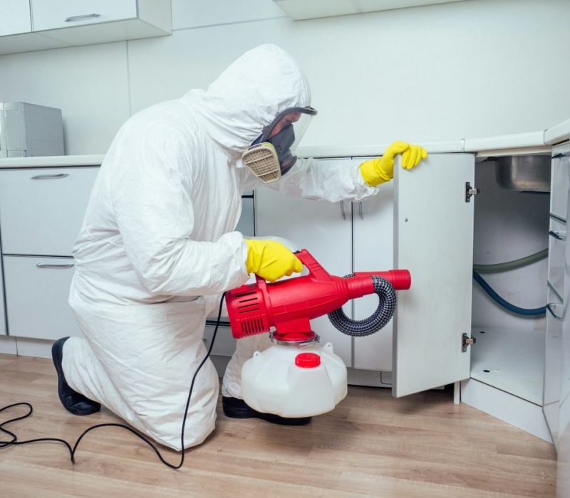 white-worker-spraying-pesticide-on-induction-hob.jpg